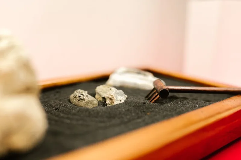 The Art of Tranquil Spaces: Creating Zen Gardens for Luxury Estates in 2026