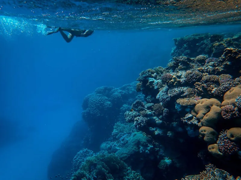 The Underwater Wonders of 2026: Exploring the Best Snorkeling Spots Around the World