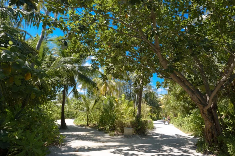 Island Biking Trails: Pedal Through Paradise in 2026