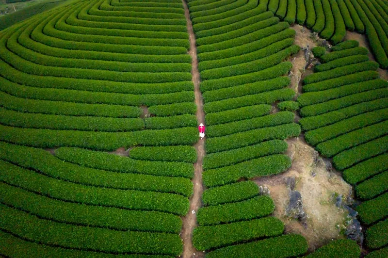 The Path Less Traveled: In-Depth Adventures in South Korea’s Forgotten Provinces 2026