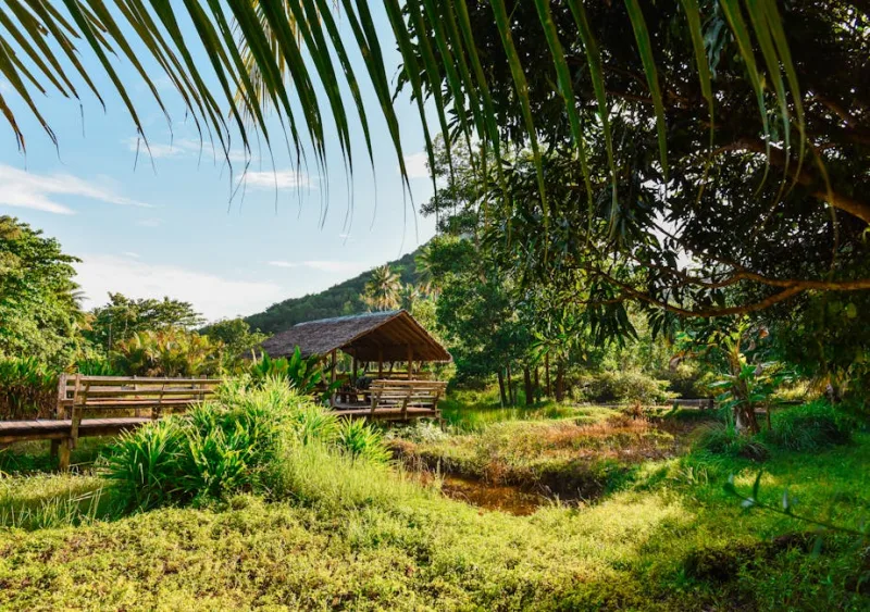 The Eco-Retreat Revolution: Sustainable Travel Destinations to Experience in 2026