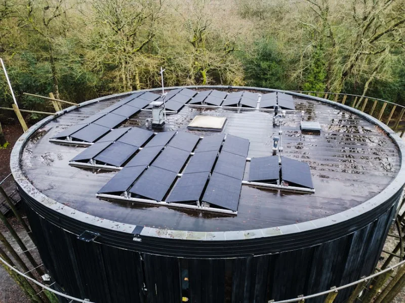 How to Harness Solar Power for Everyday Uses