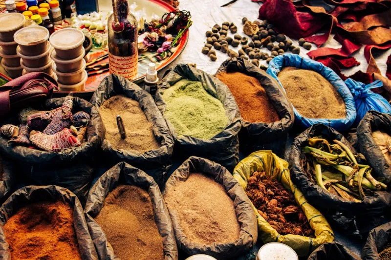 A Culinary Safari: Tasting the Wild Flavors of Africa in 2026