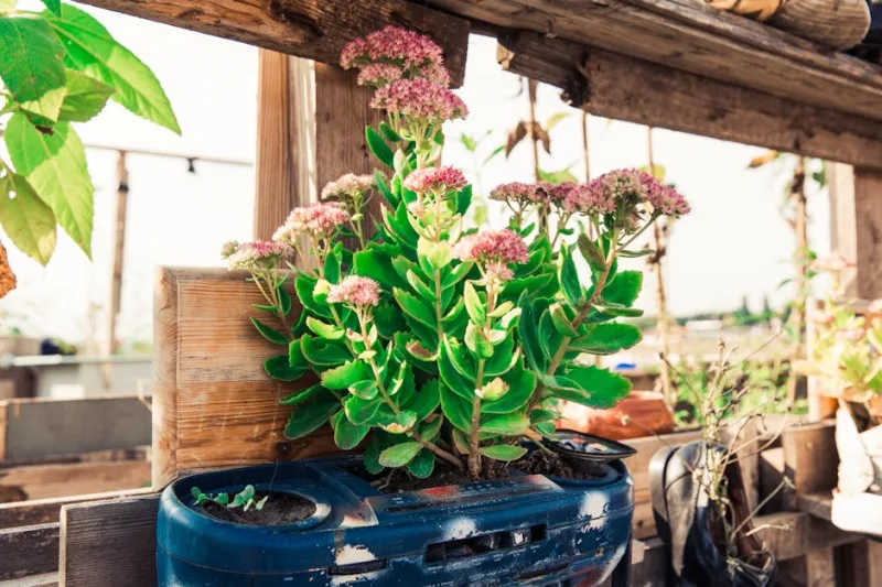 2026’s Secret to Indoor Greenery: Crafting a DIY Vertical Garden Oasis