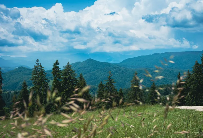 The Timeless Allure of Transylvania: A 2026 Journey Through Romania’s Uncharted Enclaves