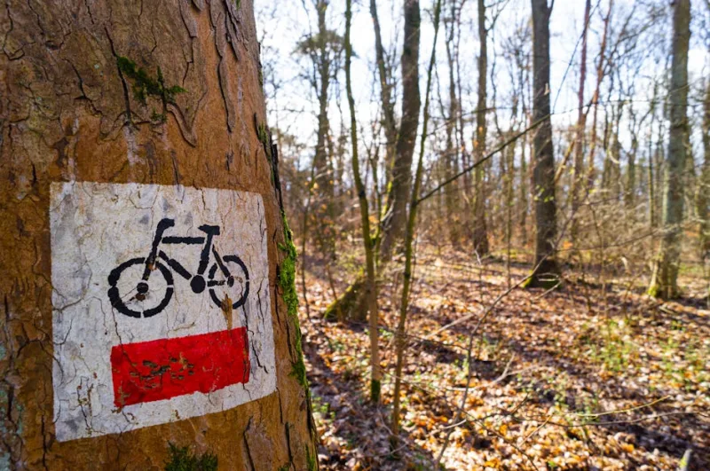 Island Cycling Retreats: The Top Destinations for Pedal Enthusiasts in 2026