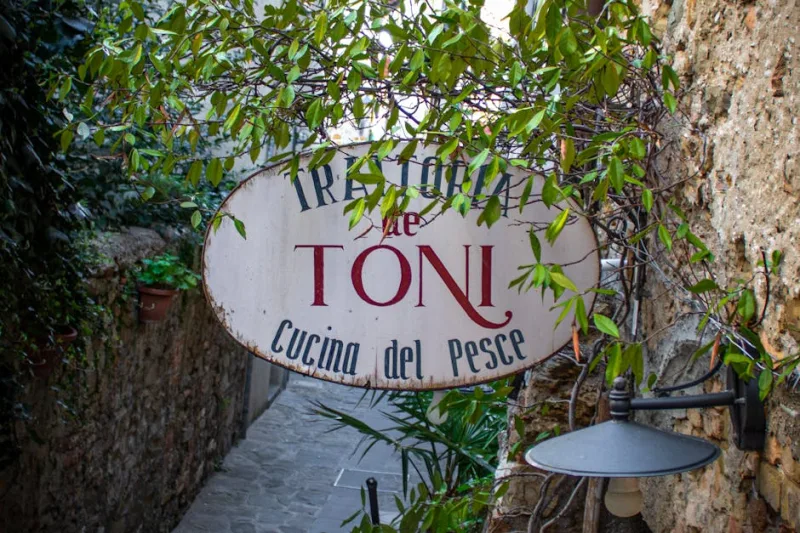 Exploring the Culinary Trails of 2026: A Journey Through Italy’s Regional Flavors