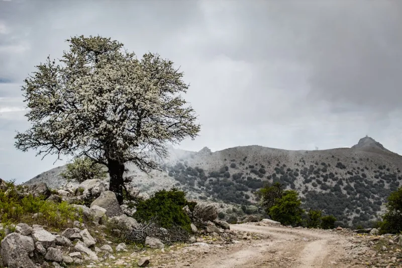 Greece’s Hidden Trails: Discovering the Enchanting Footpaths of 2026