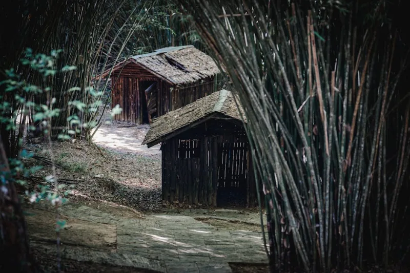 Digital Detox: Crafting a Screen-Free Sanctuary in 2026