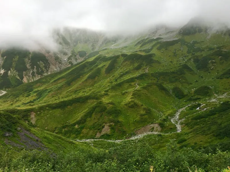 The Tranquil Trails: Rediscovering Japan’s Serene Mountain Paths in 2026