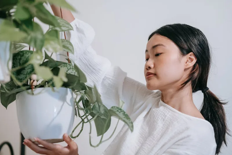 8 Ways to Incorporate Nature into Your Home Decor