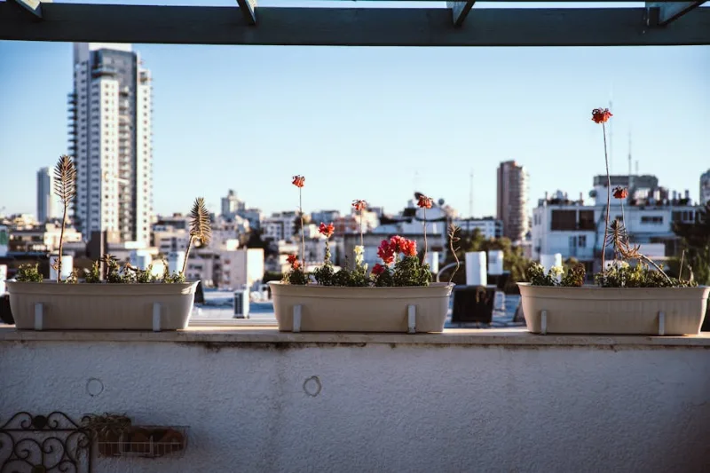 The Art of Transforming Your Balcony into a Botanical Sanctuary in 2026