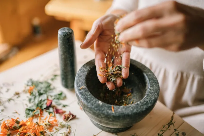 15 Best Herbs for Natural Healing in 2026