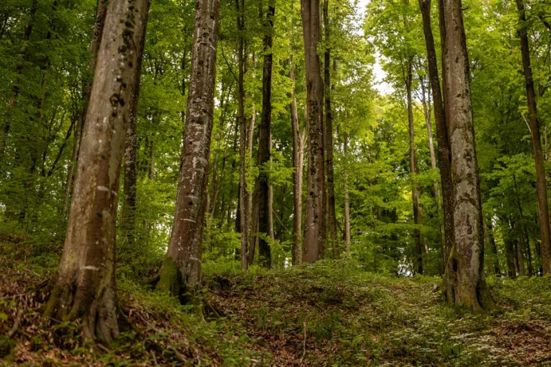 10 Hidden Gem Destinations in Eastern Europe for 2026