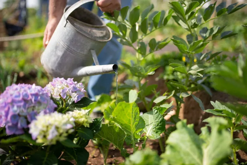 7 Eco-Friendly Landscaping Practices You Should Adopt Now