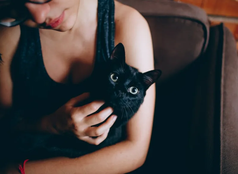 The Health Benefits of Owning a Cat: What Science Says