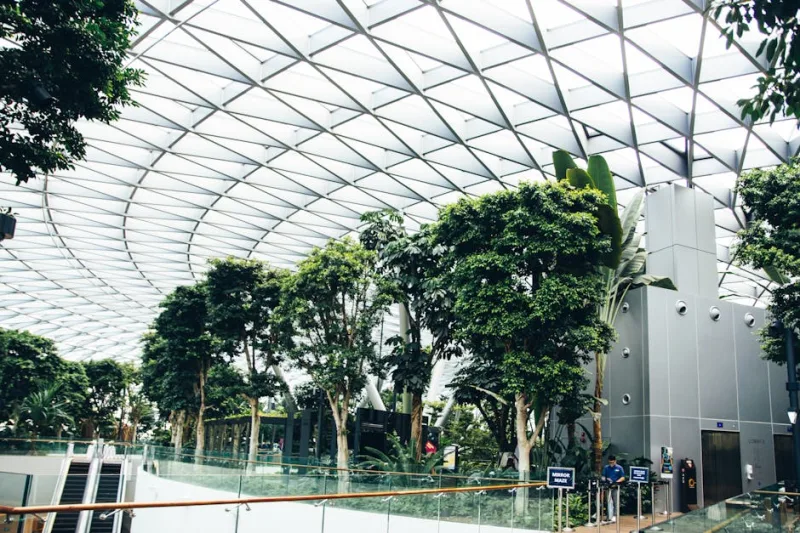 Exploring the World’s Most Eco-Friendly Airports