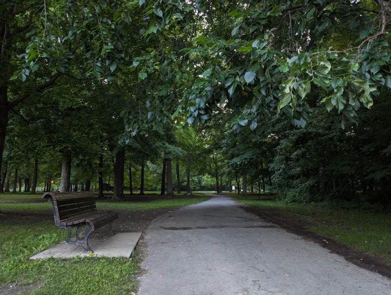The Green Heart of Pittsburgh: Exploring the City’s Best Parks and Gardens in 2026