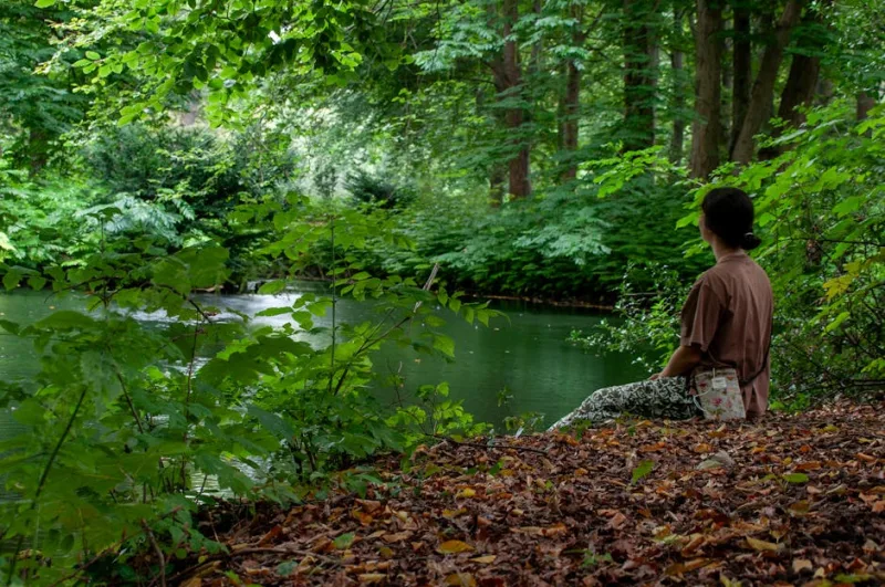 Harnessing the Power of Nature: The 2026 Guide to Forest Bathing for Mental Clarity and Well-being