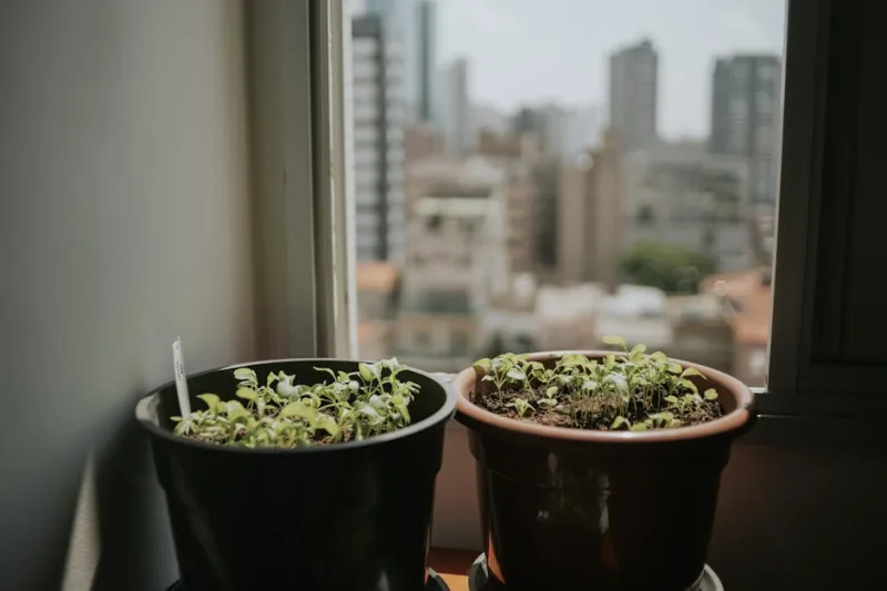 The Evolution of Urban Gardening: How City Dwellers Are Greening Their Spaces in 2026