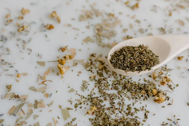 How to Use Adaptogens for Stress and Fatigue Management