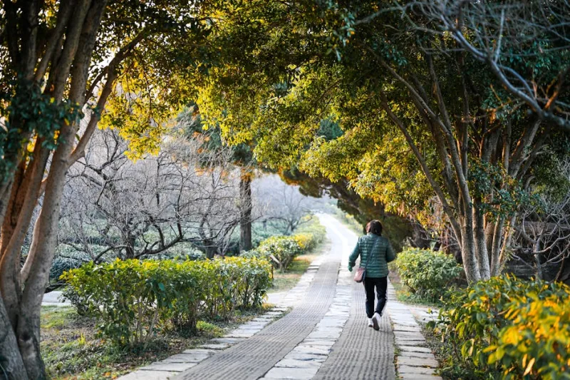 How to Implement a Digital Detox in Your Daily Routine