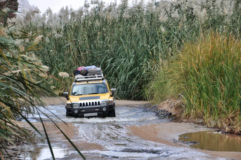 Embrace the Wild: A Journey Inside 2026’s Most Unusual Eco-Adventure Challenges