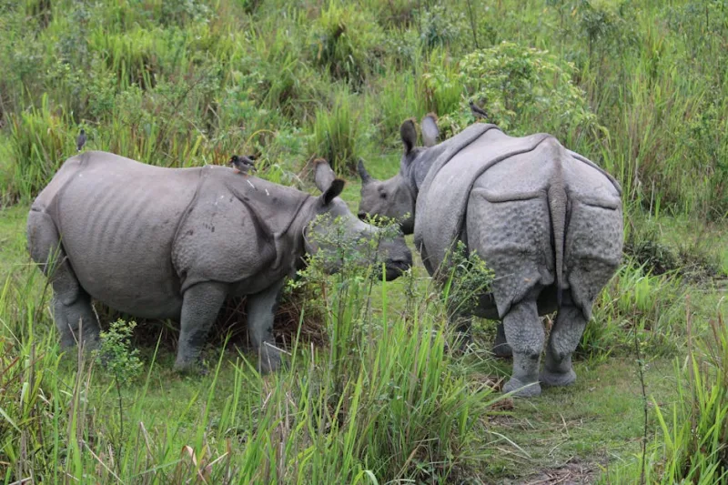 Why Ecotourism is More Important Than Ever in 2026