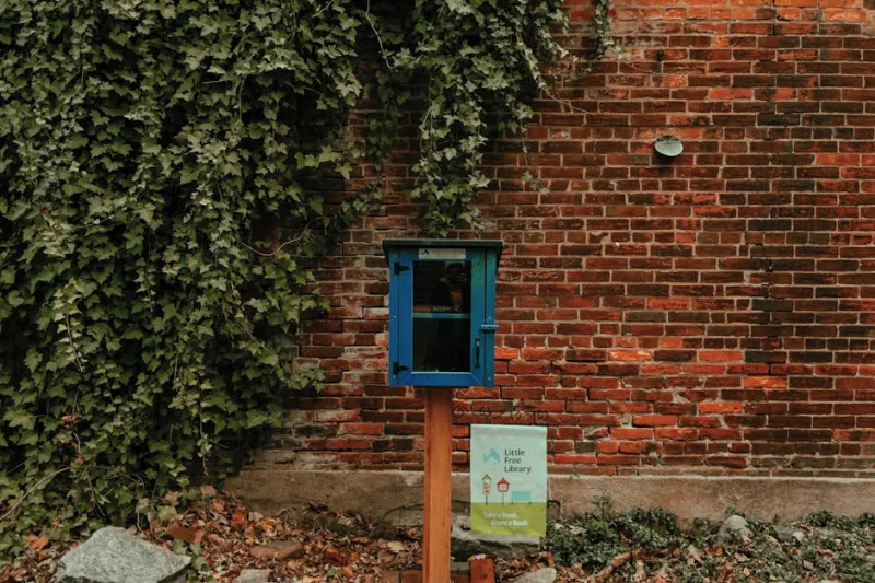 Nurturing Community Bonds: Crafting DIY Neighborhood Libraries in 2026