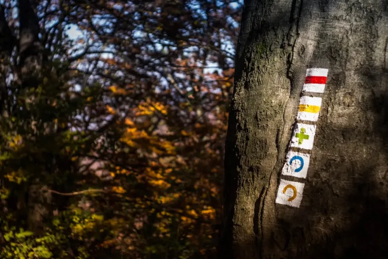 The Geo-Caching Renaissance: Discovering Hidden Treasures on Your 2026 Travels
