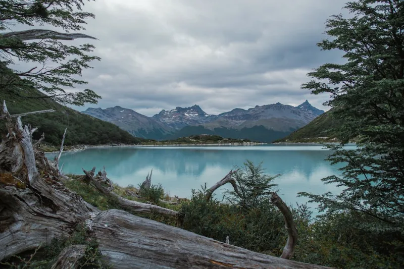 The Ultimate 2026 Off-Grid Adventure: Exploring the Wilds of Patagonia