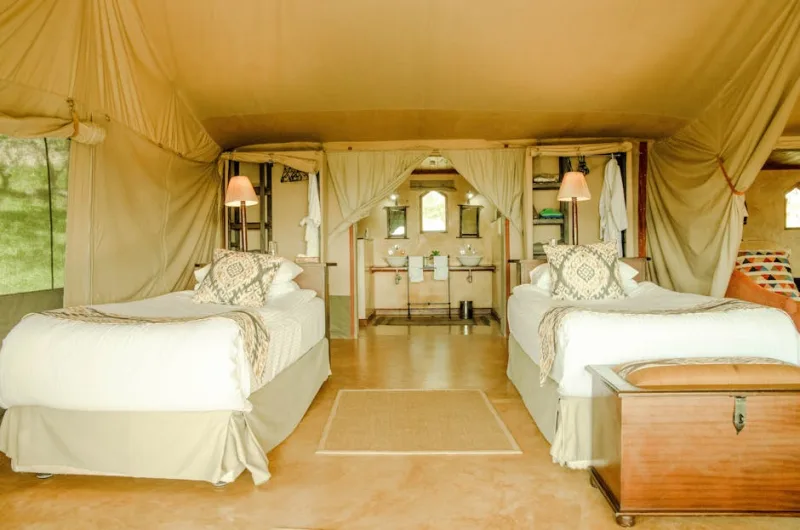 Sustainable Safari: The Ethical Wildlife Adventures Awaiting in 2026