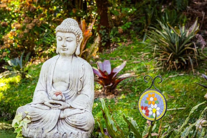 Cultivating Calm: Designing a Meditation Garden Oasis for 2026