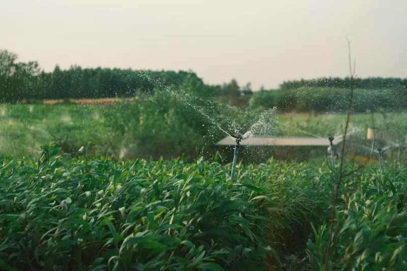 Revolutionize Your Yard with Intelligent Irrigation in 2026