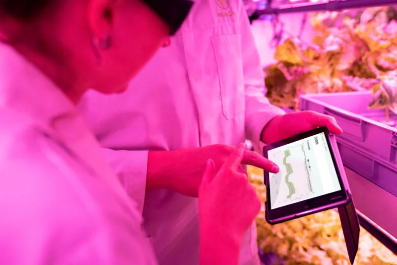 Smart Gardens: Cultivating a Sustainable Future Indoors in 2026