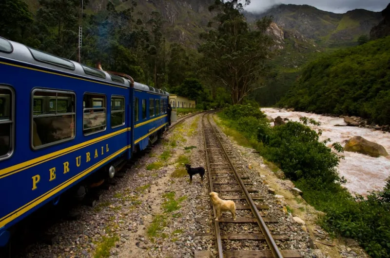 Embark on the Spectacular Railways of the Andes: A 2026 Guide to South America’s Scenic Train Journeys