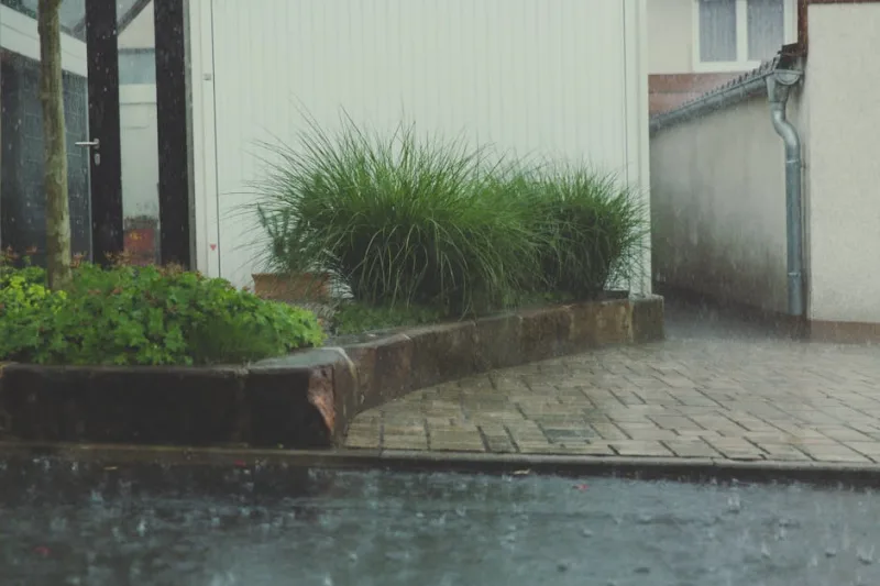 Mastering the Art of Rainwater Harvesting: Your DIY Guide for 2026
