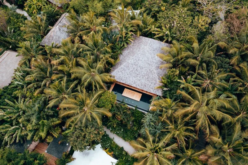 Island Wellness Retreats: Rejuvenate Your Mind and Body in 2026
