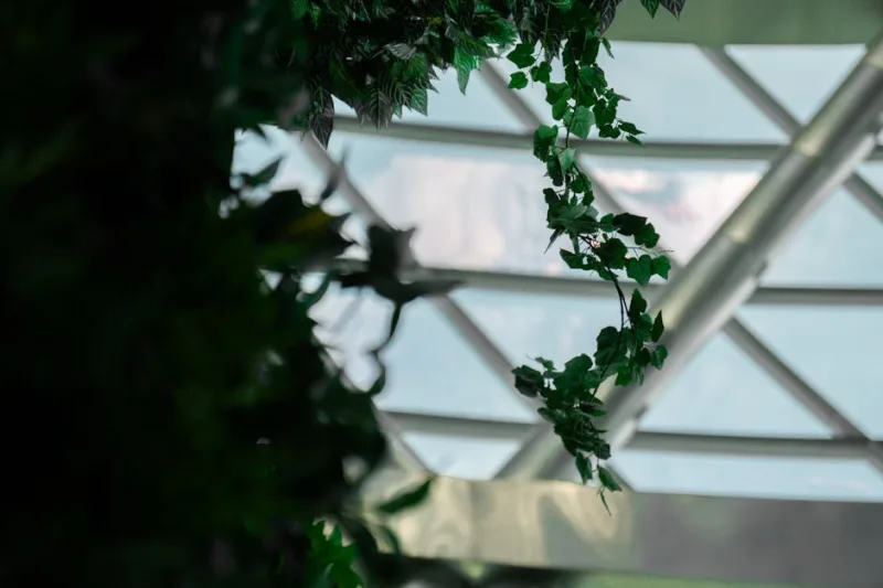 Holistic Home Design: Cultivating Wellness Through Biophilic Interiors in 2026