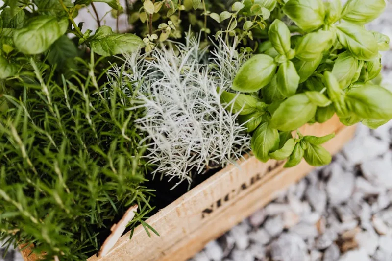 Gastronomic Gardens: Designing Culinary Landscapes for Mansions in 2026