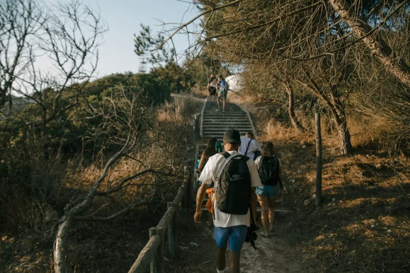 Journey Into the Unknown: The Thrilling World of Immersive Mystery Trails in 2026