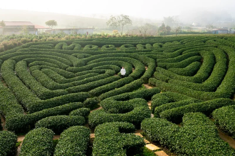 Cracking the Code of the World’s Most Intriguing Labyrinths: A 2026 Adventure Guide