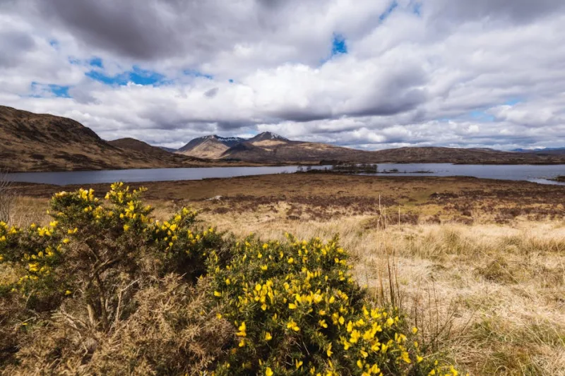 The Timeless Tranquility of the Scottish Highlands: A Journey into Silence in 2026
