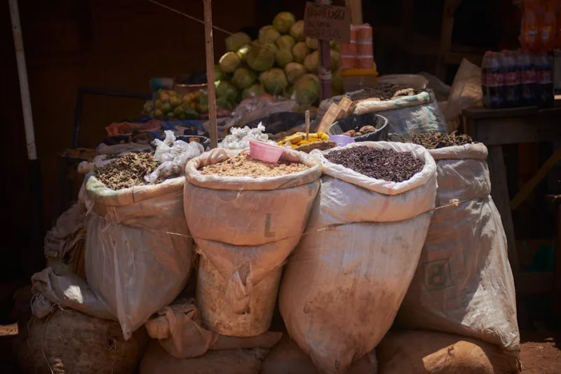 Savoring the Spices of Zanzibar: Culinary Journeys in 2026