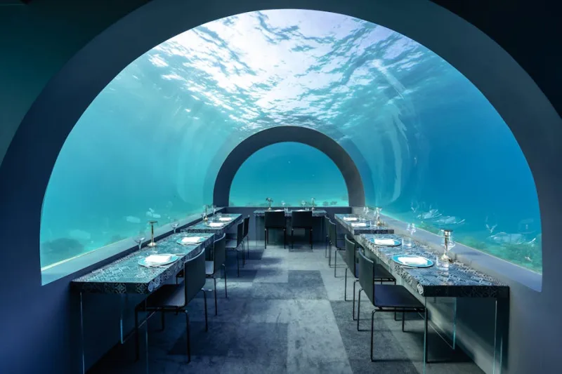 Navigating the Culinary Wonders of Underwater Restaurants: A 2026 Exploration
