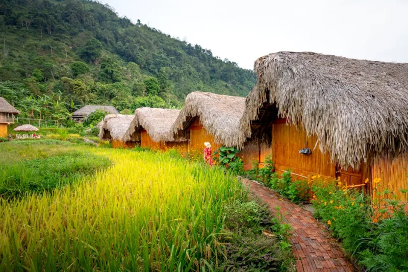 Ecovillages of 2026: Sustainable Living and Travel Destinations
