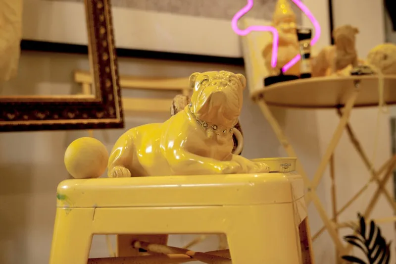 2026’s Ultimate Quirkfest: The Art of Unconventional Home Décor with a Humorous Twist