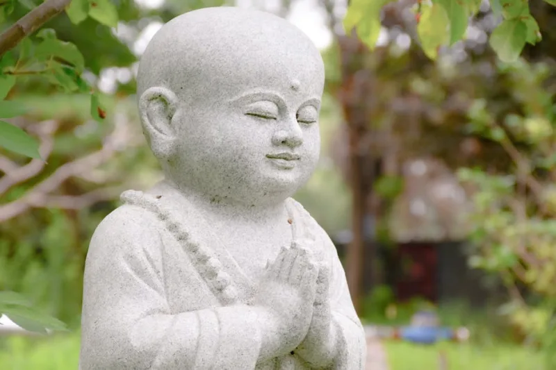 Zen and the Art of Garden Rituals: Creating Mindful Outdoor Spaces in 2026