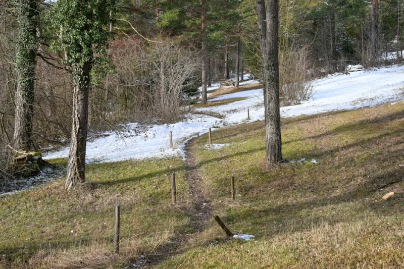 Unveiling the Charms of the Nordic Wilderness: 2026’s Most Enchanting Hiking Trails
