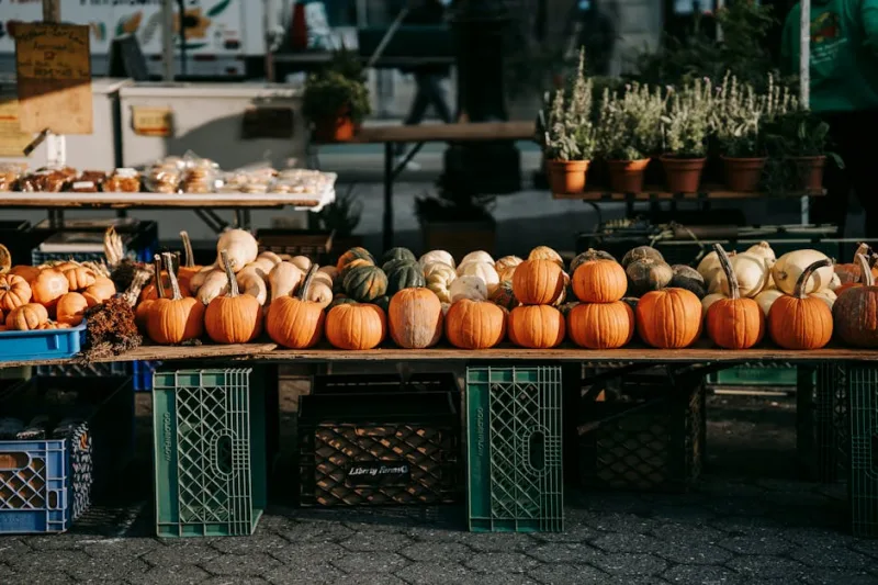 The Art of Seasonal Eating: Embracing Nature’s Rhythm in 2026